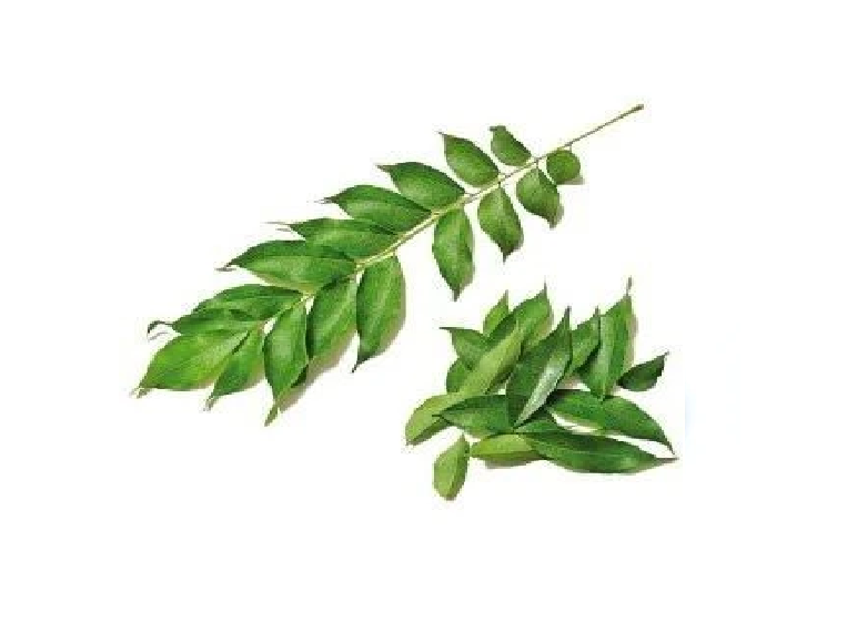 Curry Leaves