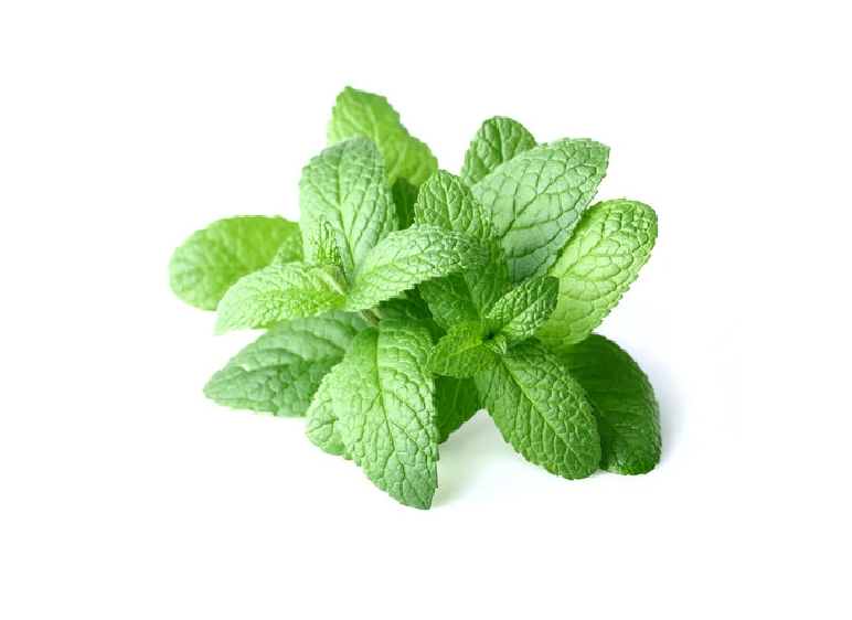 Mint